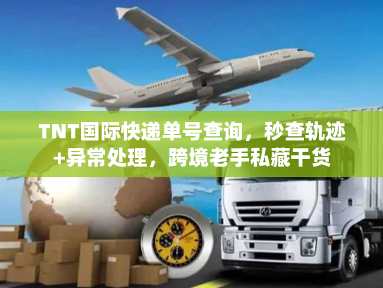 TNT国际快递单号查询，秒查轨迹+异常处理，跨境老手私藏干货