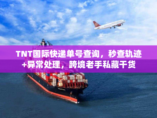 TNT国际快递单号查询，秒查轨迹+异常处理，跨境老手私藏干货