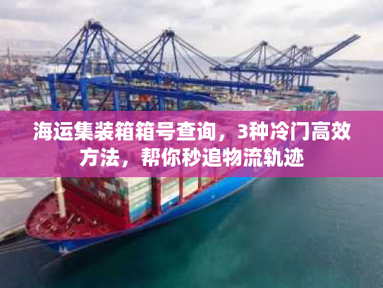 海运集装箱箱号查询，3种冷门高效方法，帮你秒追物流轨迹
