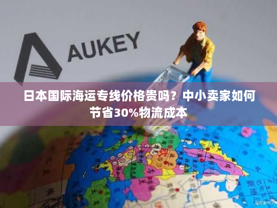 日本国际海运专线价格贵吗?中小卖家如何节省30%物流成本 日本国际海运专线价格贵吗?中小卖家如何节省30%物流成本