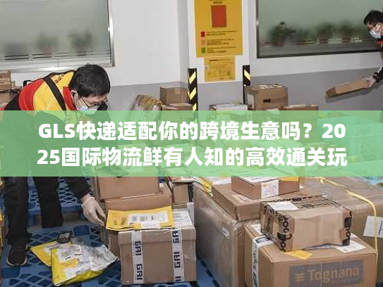 GLS快递适配你的跨境生意吗?2025国际物流鲜有人知的高效通关玩法 GLS快递适配你的跨境生意吗?2025国际物流鲜有人知的高效通关玩法