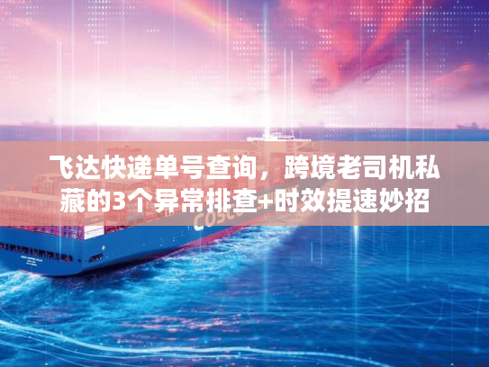 飞达快递单号查询，跨境老司机私藏的3个异常排查+时效提速妙招