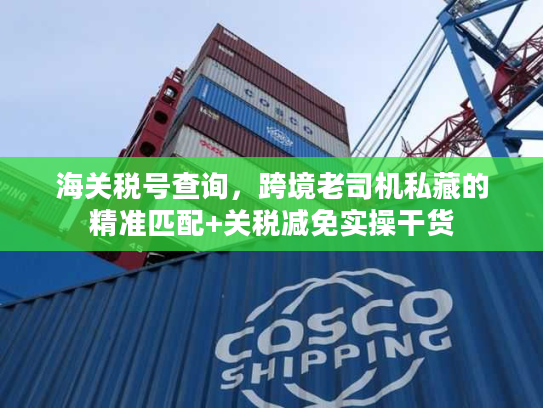 海关税号查询，跨境老司机私藏的精准匹配+关税减免实操干货