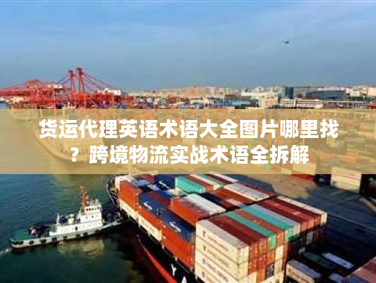 货运代理英语术语大全图片哪里找？跨境物流实战术语全拆解
