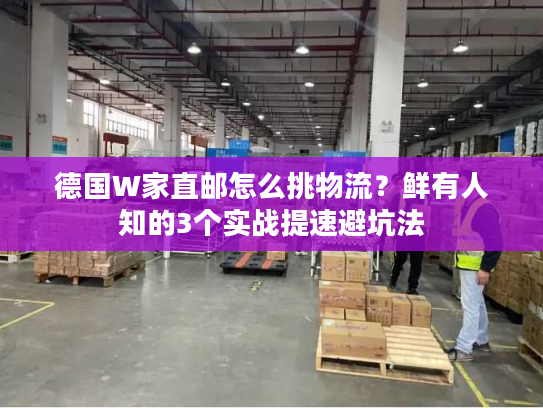 德国W家直邮怎么挑物流？鲜有人知的3个实战提速避坑法