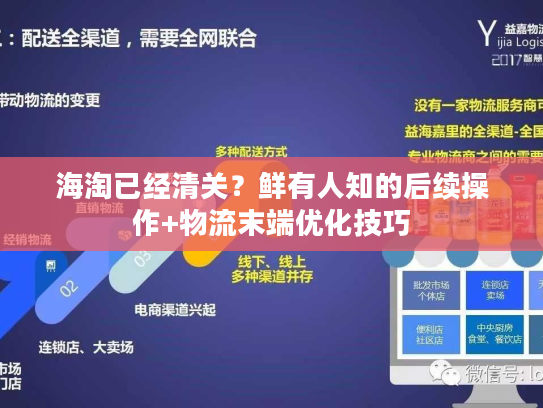 海淘已经清关？鲜有人知的后续操作+物流末端优化技巧