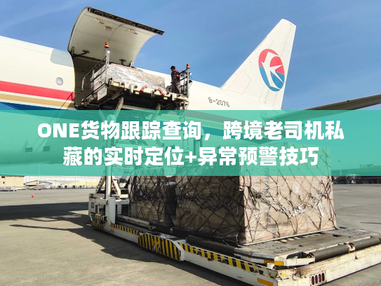 ONE货物跟踪查询，跨境老司机私藏的实时定位+异常预警技巧