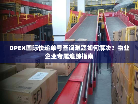 DPEX国际快递单号查询难题如何解决？物业企业专属追踪指南