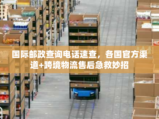 国际邮政查询电话速查，各国官方渠道+跨境物流售后急救妙招