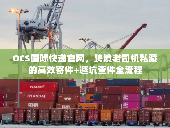 OCS国际快递官网，跨境老司机私藏的高效寄件+避坑查件全流程