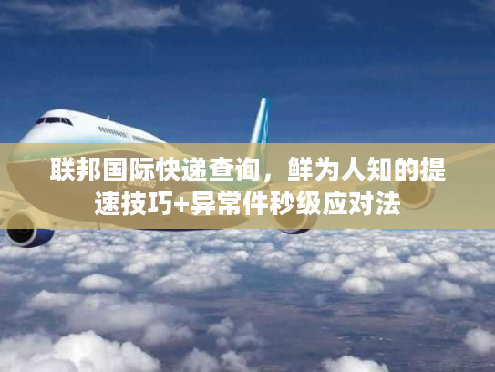 联邦国际快递查询，鲜为人知的提速技巧+异常件秒级应对法