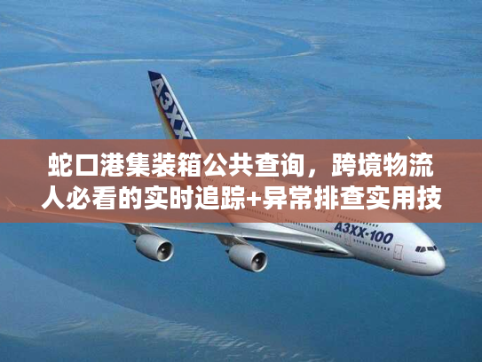 蛇口港集装箱公共查询，跨境物流人必看的实时追踪+异常排查实用技巧