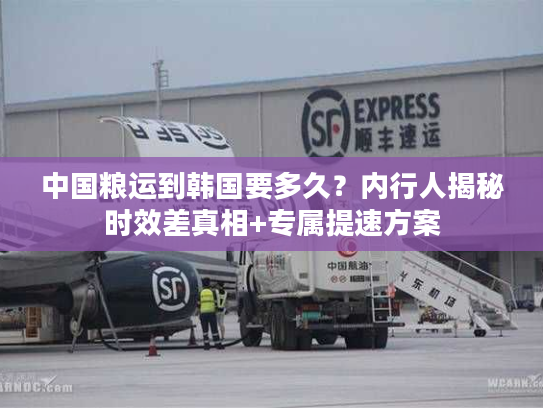 中国粮运到韩国要多久?内行人揭秘时效差真相+专属提速方案 中国粮运到韩国要多久?内行人揭秘时效差真相+专属提速方案