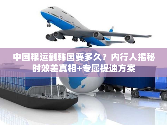 中国粮运到韩国要多久？内行人揭秘时效差真相+专属提速方案