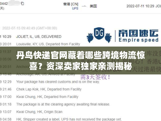 丹鸟快递官网藏着哪些跨境物流惊喜？资深卖家独家亲测揭秘