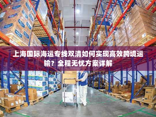 上海国际海运专线双清如何实现高效跨境运输?全程无忧方案详解 上海国际海运专线双清如何实现高效跨境运输?全程无忧方案详解