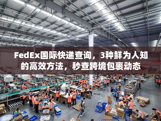 FedEx国际快递查询，3种鲜为人知的高效方法，秒查跨境包裹动态