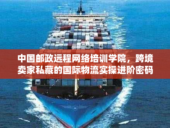 中国邮政远程网络培训学院，跨境卖家私藏的国际物流实操进阶密码