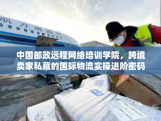 中国邮政远程网络培训学院，跨境卖家私藏的国际物流实操进阶密码
