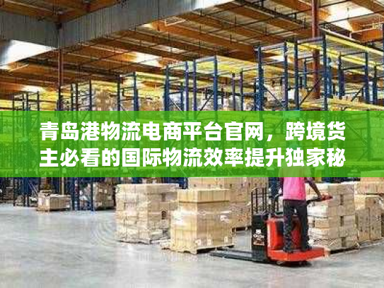 青岛港物流电商平台官网,跨境货主必看的国际物流效率提升独家秘籍 青岛港物流电商平台官网,跨境货主必看的国际物流效率提升独家秘籍