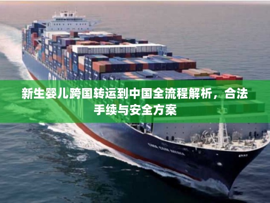 新生婴儿跨国转运到中国全流程解析,合法手续与安全方案 新生婴儿跨国转运到中国全流程解析,合法手续与安全方案