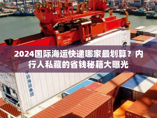 2024国际海运快递哪家最划算？内行人私藏的省钱秘籍大曝光
