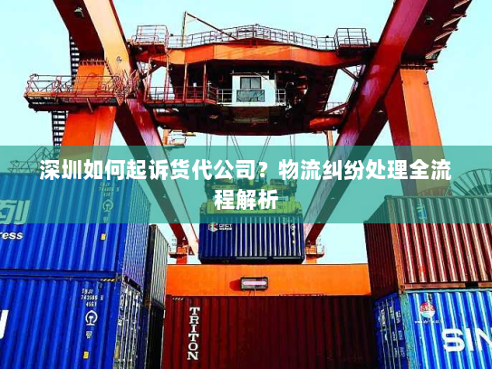 深圳如何起诉货代公司?物流纠纷处理全流程解析 深圳如何起诉货代公司?物流纠纷处理全流程解析