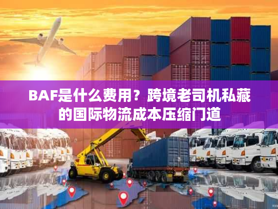BAF是什么费用？跨境老司机私藏的国际物流成本压缩门道