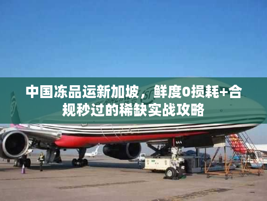 中国冻品运新加坡，鲜度0损耗+合规秒过的稀缺实战攻略