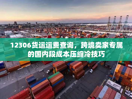 12306货运运费查询，跨境卖家专属的国内段成本压缩冷技巧