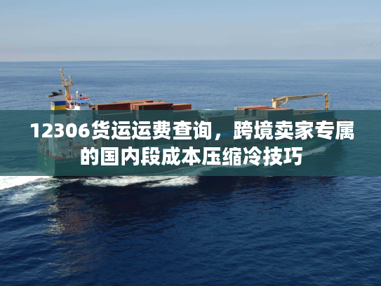 12306货运运费查询，跨境卖家专属的国内段成本压缩冷技巧