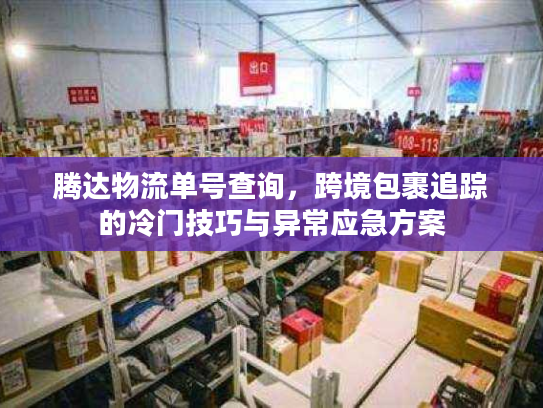腾达物流单号查询，跨境包裹追踪的冷门技巧与异常应急方案