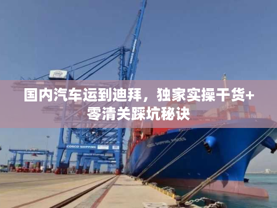 国内汽车运到迪拜，独家实操干货+零清关踩坑秘诀