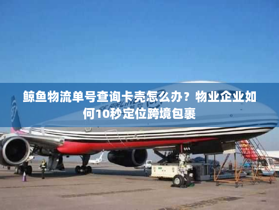 鲸鱼物流单号查询卡壳怎么办?物业企业如何10秒定位跨境包裹 鲸鱼物流单号查询卡壳怎么办?物业企业如何10秒定位跨境包裹