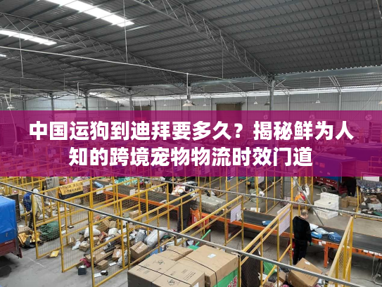 中国运狗到迪拜要多久？揭秘鲜为人知的跨境宠物物流时效门道