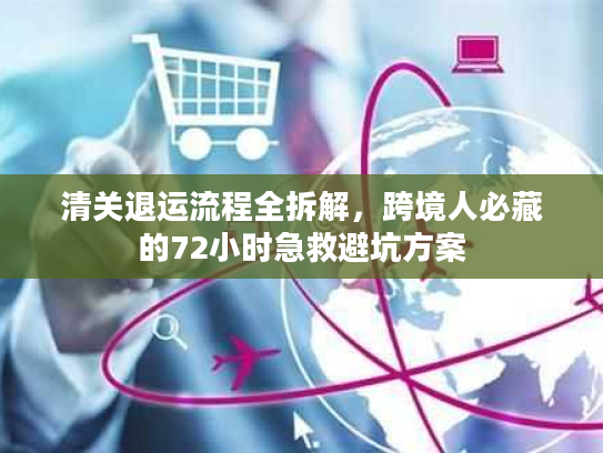清关退运流程全拆解，跨境人必藏的72小时急救避坑方案