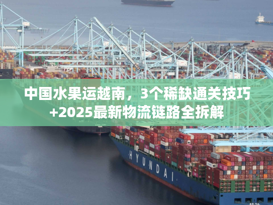 中国水果运越南，3个稀缺通关技巧+2025最新物流链路全拆解