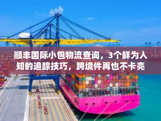 顺丰国际小包物流查询，3个鲜为人知的追踪技巧，跨境件再也不卡壳