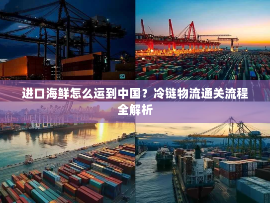 进口海鲜怎么运到中国?冷链物流通关流程全解析 进口海鲜怎么运到中国?冷链物流通关流程全解析
