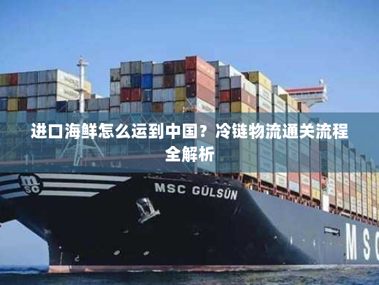 进口海鲜怎么运到中国?冷链物流通关流程全解析 进口海鲜怎么运到中国?冷链物流通关流程全解析