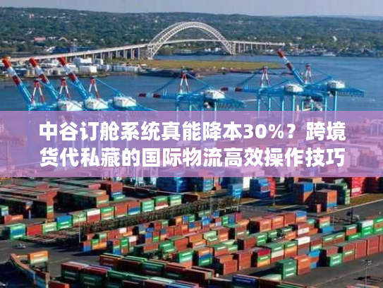 中谷订舱系统真能降本30%？跨境货代私藏的国际物流高效操作技巧