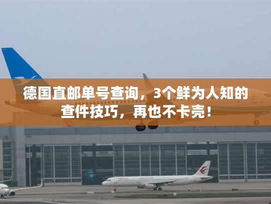 德国直邮单号查询，3个鲜为人知的查件技巧，再也不卡壳！