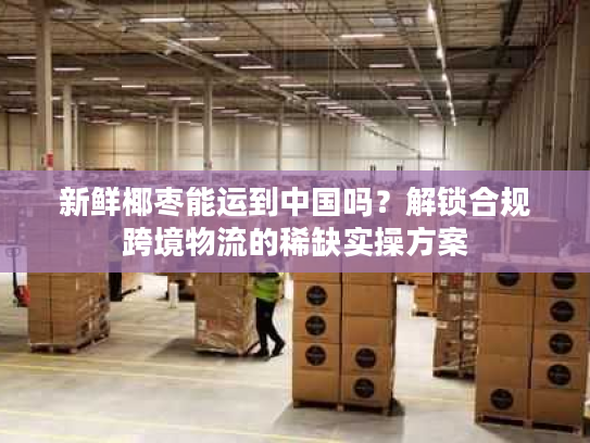 新鲜椰枣能运到中国吗？解锁合规跨境物流的稀缺实操方案