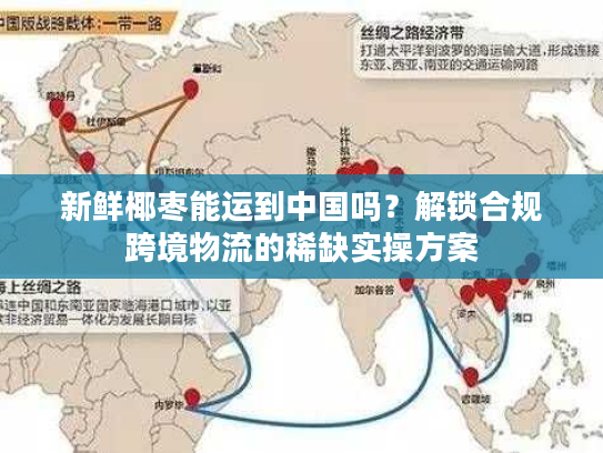 新鲜椰枣能运到中国吗？解锁合规跨境物流的稀缺实操方案
