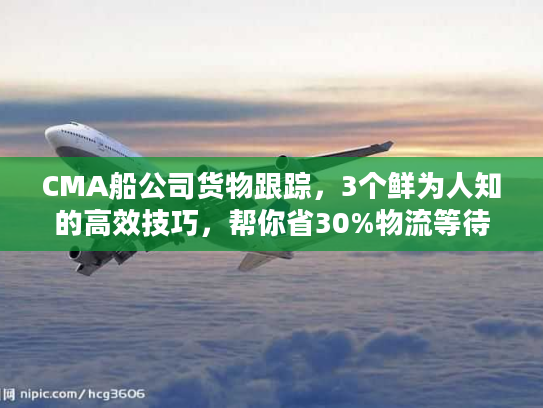 CMA船公司货物跟踪,3个鲜为人知的高效技巧,帮你省30%物流等待时间 CMA船公司货物跟踪,3个鲜为人知的高效技巧,帮你省30%物流等待时间