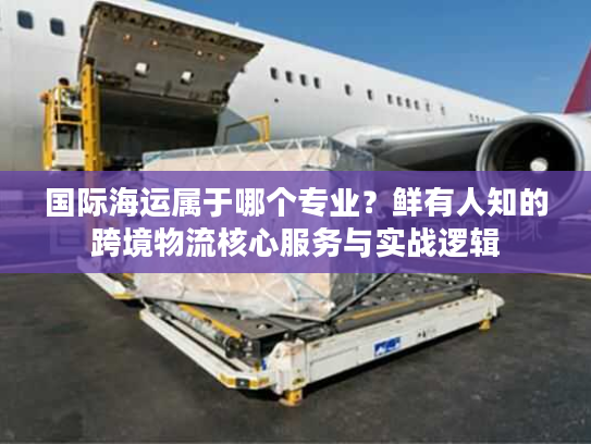 国际海运属于哪个专业？鲜有人知的跨境物流核心服务与实战逻辑