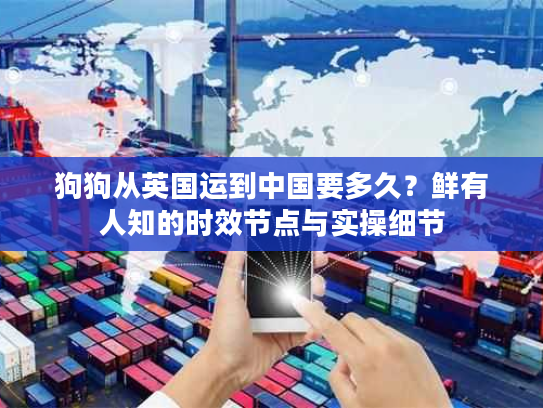 狗狗从英国运到中国要多久？鲜有人知的时效节点与实操细节