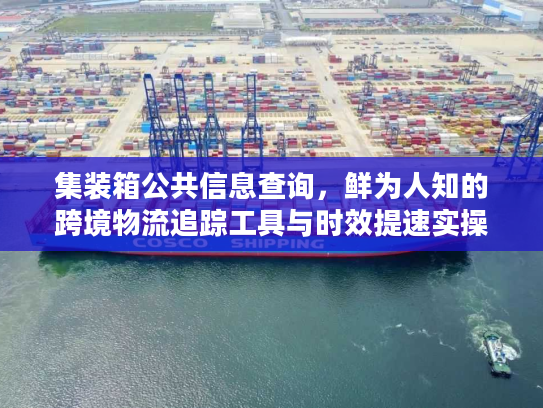 集装箱公共信息查询，鲜为人知的跨境物流追踪工具与时效提速实操