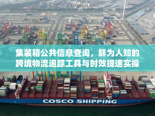 集装箱公共信息查询，鲜为人知的跨境物流追踪工具与时效提速实操