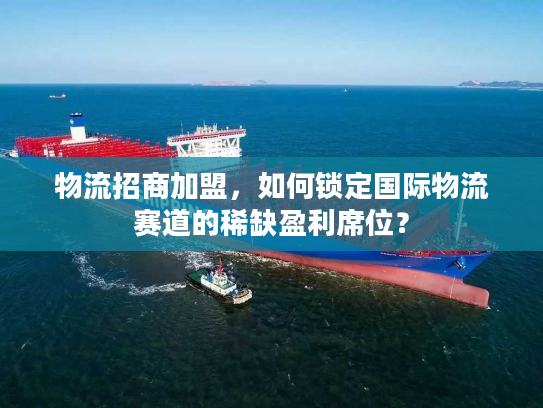 物流招商加盟，如何锁定国际物流赛道的稀缺盈利席位？